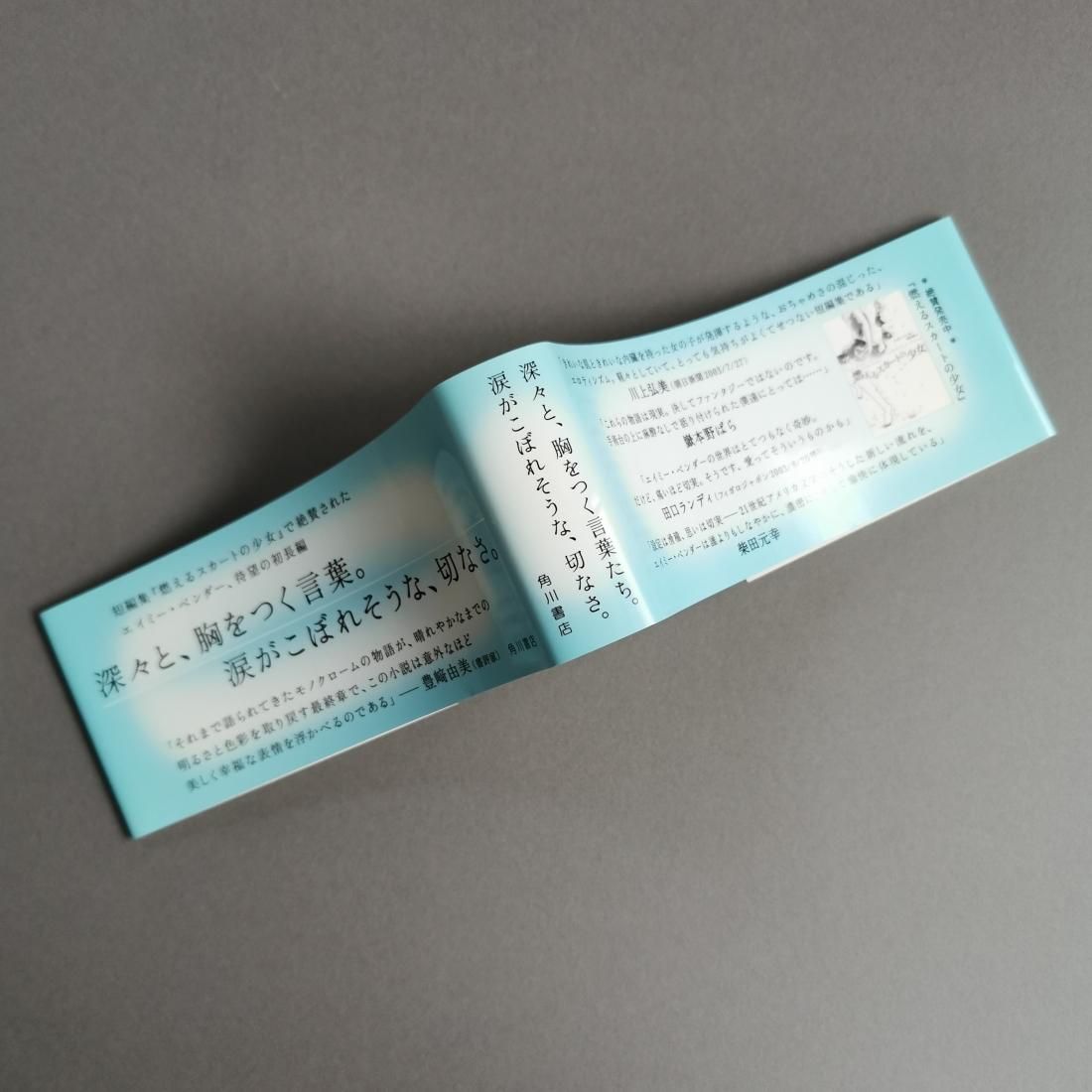 エイミー・ベンダー / 私自身の見えない徴（角川書店）