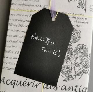 ҵ¡SECRETUM BOOKҤ˺Ϥʤ