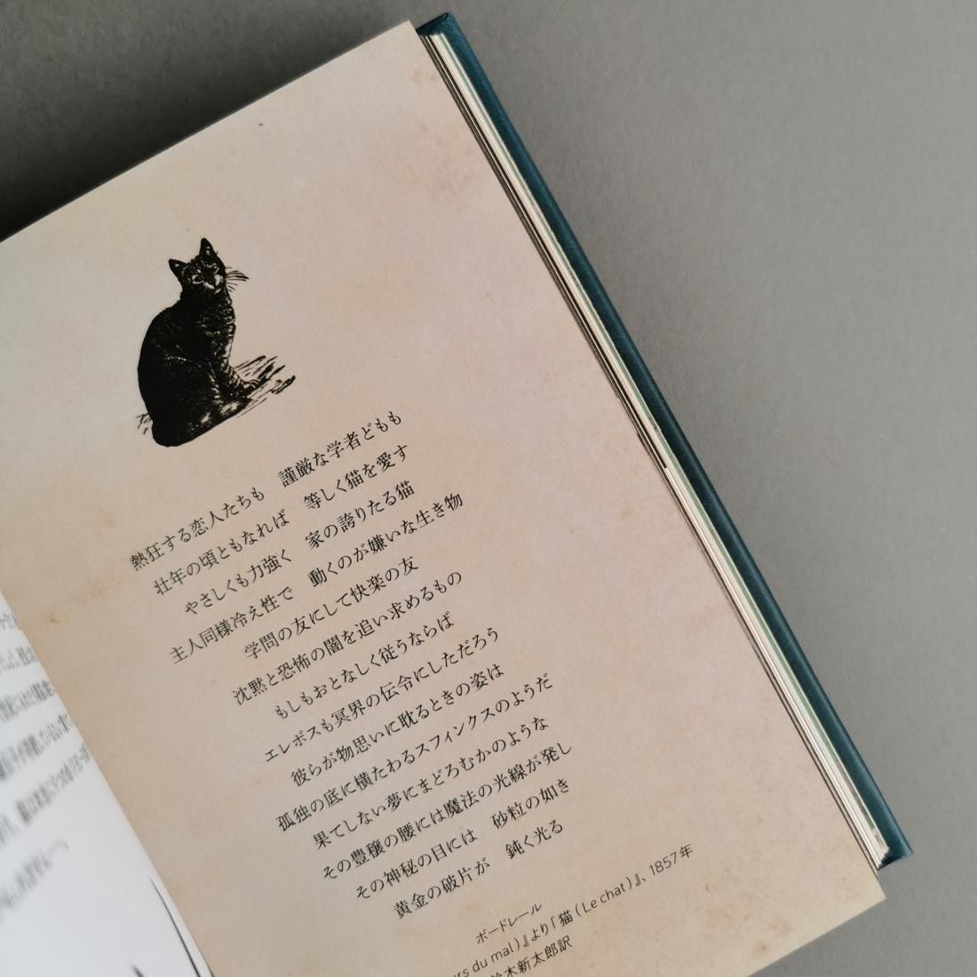 ナタリー・セメニーク / 月夜の黒猫事典 知られざる歴史と