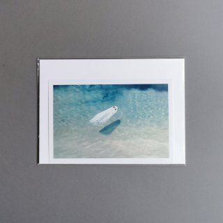 Angela Deane | Print Float 1015cm(Open Edition)
