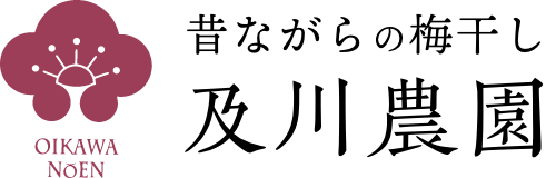 �Τʤ�����ߴ��� ��������