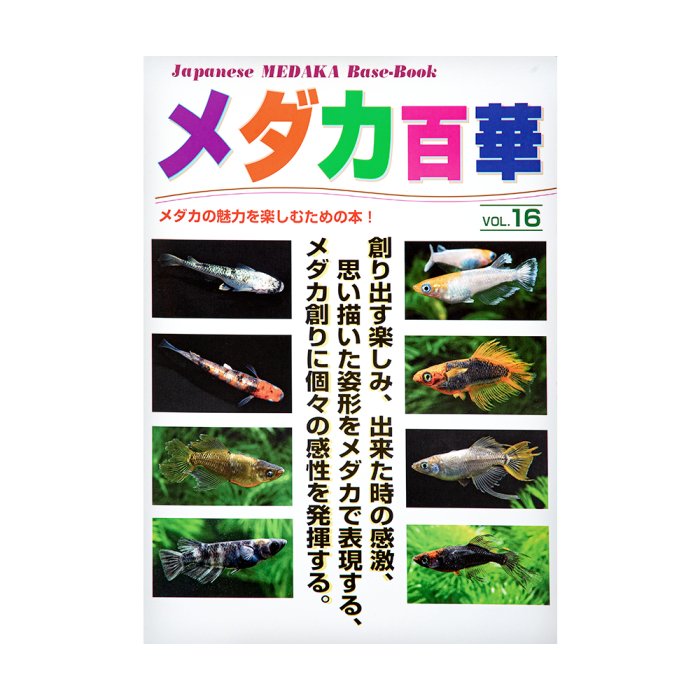 メダカファーム泉駿河】 墨紅玉 上物 1ペア ケ-15 - 魚類、水生生物