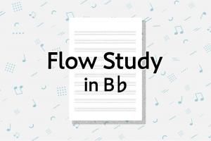 Flow Study in B