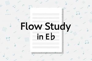 Flow Study in E