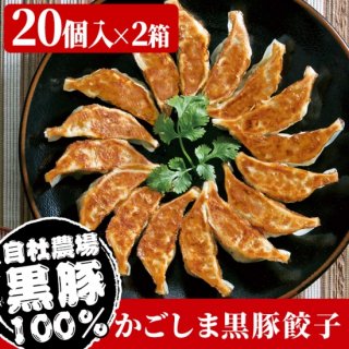 かごしま黒豚餃子 (20個入) ×2箱