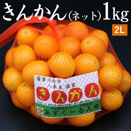 ハウスきんかん (ネット) 2Lサイズ 1kg (約40個前後) - 鹿児島グルメをお届け：駅市薩摩川内 薩摩川内市観光物産協会が運営