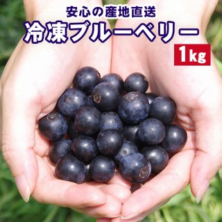 今期収穫分の 鹿児島県産 冷凍ブルーベリー 1kg