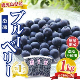 ̵ ںʬ缡ȯ 縩 ֥롼٥꡼ 1kg