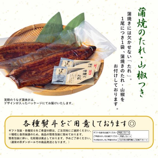 鹿児島県産 うなぎ蒲焼き 約170g×3尾 (タレ・山椒付き) - 鹿児島グルメ