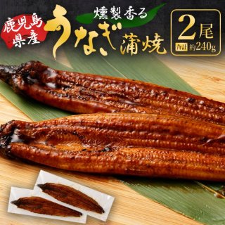 送料無料 燻製香る うなぎ蒲焼き 2尾 合計約240g(約120g×2尾) - 鹿児島グルメをお届け：駅市薩摩川内 薩摩川内市観光物産協会が運営