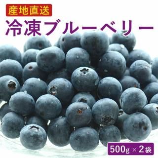 Բġ֥롼٥꡼ 500g2