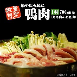   () ֥å1 600&#12316;700g