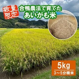 7ǯϡơ۹ˡǰƤ  5kg 3&#12316;5ʬ