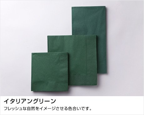 ディープカラー紙ナプキン 2プライ 45×45㎝8ツ折れ 2000枚