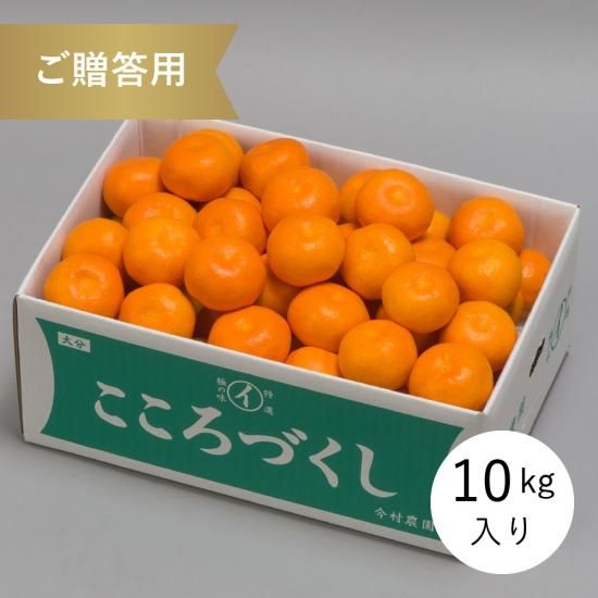 贈答用〉ハウスみかん 10kg - kiwaminoaji