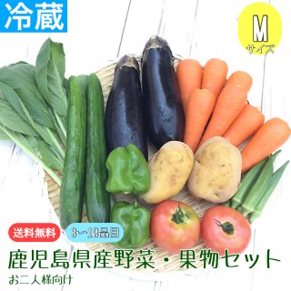 【送料無料】県産　野菜・果物セット(お二人様向け)