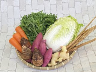 【送料無料】県産有機野菜セット(お一人様向け)