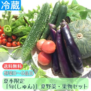 【夏季限定・送料無料】　「旬（しゅん）」　夏野菜セット