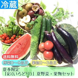 【夏季限定・送料無料】　「彩（いろどり）」　夏野菜・果物セット
