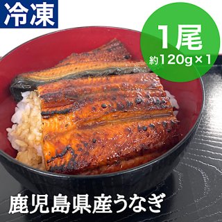 鹿児島県産うなぎ　4尾(約800g) 特大 - おいどん鹿児島ｅモール