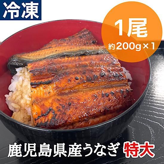 鹿児島県産うなぎ　1尾(約200g) 特大 - おいどん鹿児島ｅモール