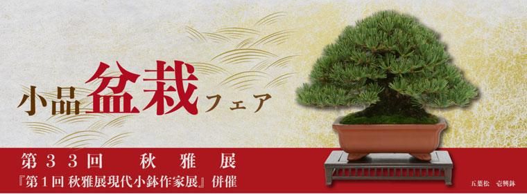 小品盆栽フェア 秋雅展 - 盆栽、園芸道具の兼進