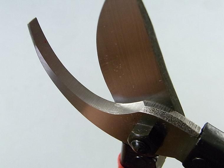 ニュー剪定鋏 （兼進作） 全長180mm No.166 - 盆栽、園芸道具の兼進