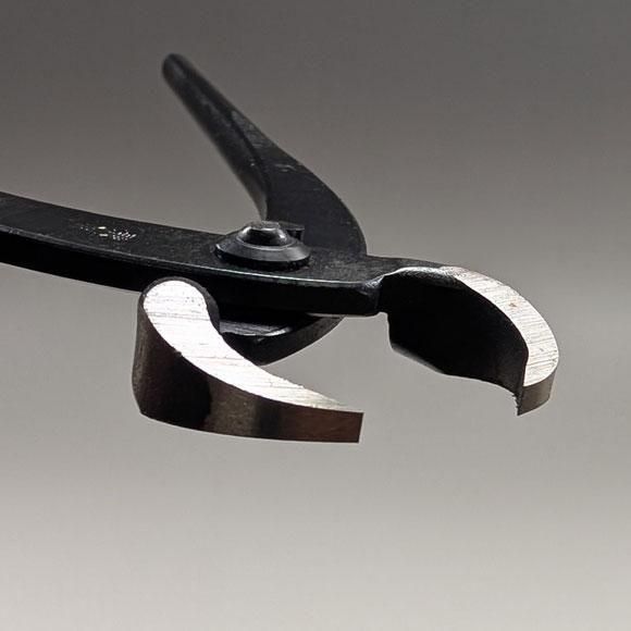 昌国 盆栽根切り 楽天市場】昌国作NO.40 さつき用根切【昌国】【盆栽