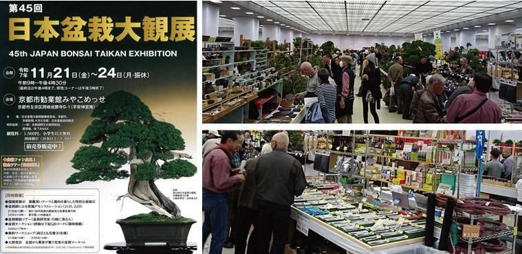 盆栽、園芸道具の兼進