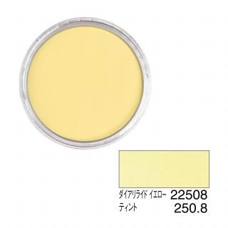 ѥѥƥ 22508 饤  ƥ