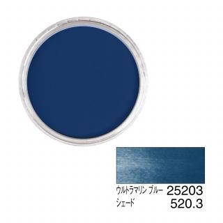 ѥѥƥ 25203 ȥޥ ֥롼 