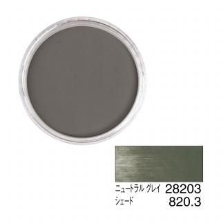 ѥѥƥ 28203 ˥塼ȥ 쥤 