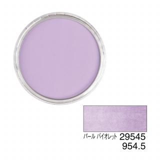 ѥѥƥ 29545 ѡ Хå