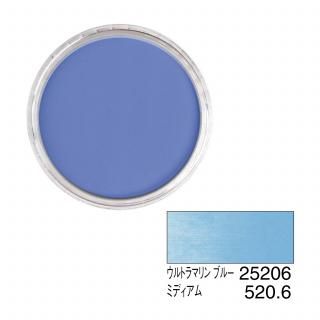 ѥѥƥ 25206 ȥޥ ֥롼 ߥǥ