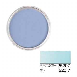 ѥѥƥ 25207 ȥޥ ֥롼 饤