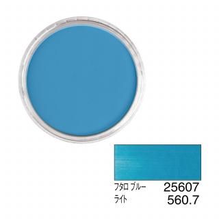 ѥѥƥ 25607 ե֥롼 饤