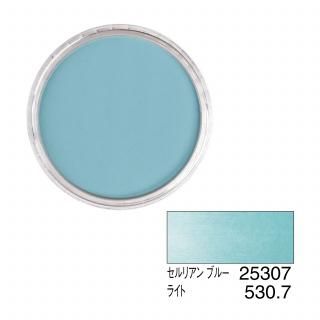 ѥѥƥ 25307 ꥢ ֥롼 饤