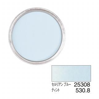 ѥѥƥ 25308 ꥢ ֥롼 ƥ