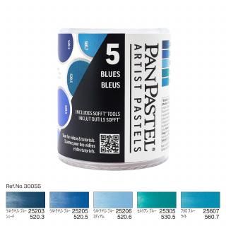 ѥѥƥ 30055 ֥롼 5å