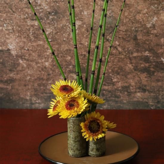 WANOiRO・木賊色 (とくさいろ)