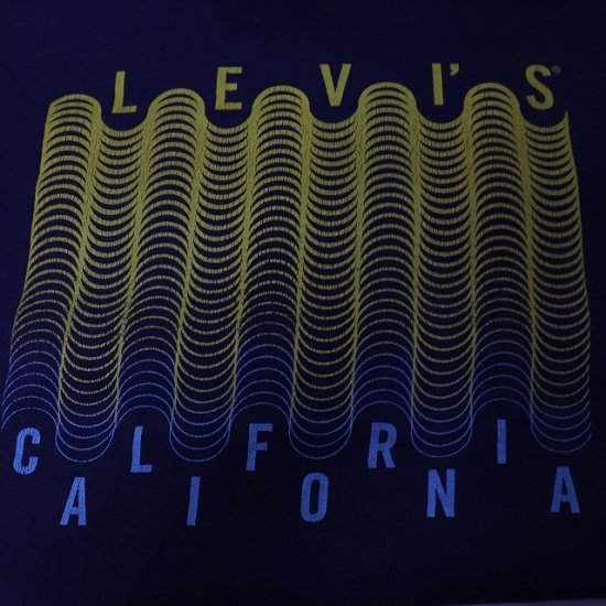 中古】(リーバイス)Levi'sメンズレディースL【Tシャツ】カリフォルニア