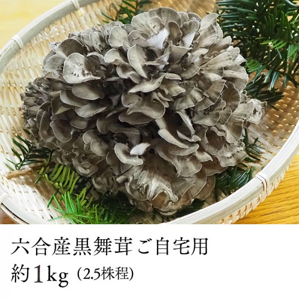 六合産黒舞茸1kg（自宅用）