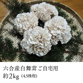 ϻ绺2kgʼѡ