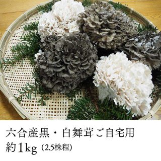 ϻ绺1kgʼѡ