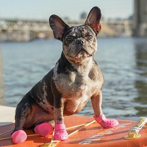 【完全未使用タグ付き】ワグウェア ワグウェリーズ モハベ 【セージ-XXS】 WAGWEAR - WAGWELLIES MOJAVE / セージ