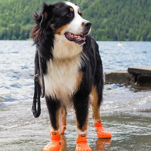 【完全未使用タグ付き】ワグウェア ワグウェリーズ モハベ 【セージ-XXS】 完全未使用タグ付き】ワグウェア ワグウェリーズ モハベ