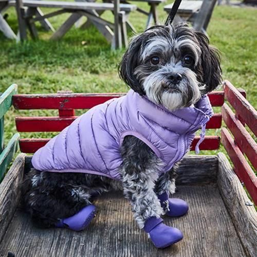 WAGWEAR - WAGWELLIES BY WAGWEAR / イエロー