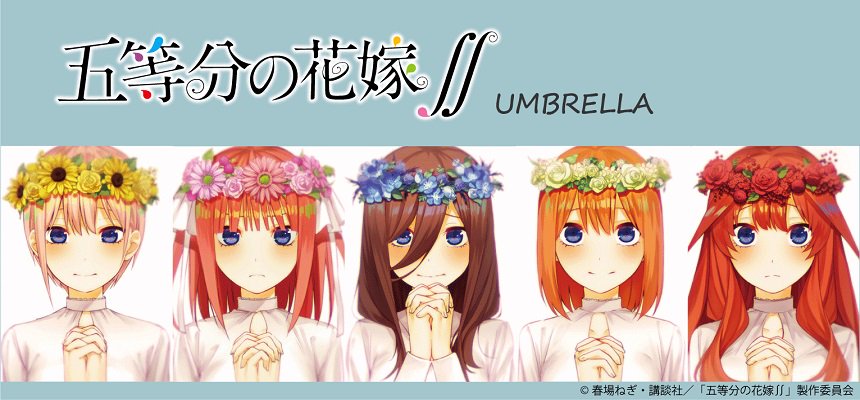 五等分の花嫁∬傘