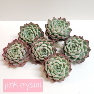 pink crystal()