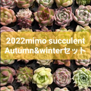 2022 Autumn&Winteråȡ¿ʪ5000